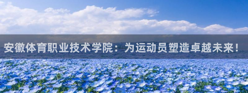 JJB竞技宝官方正版app集团简介：安徽体育职业技术