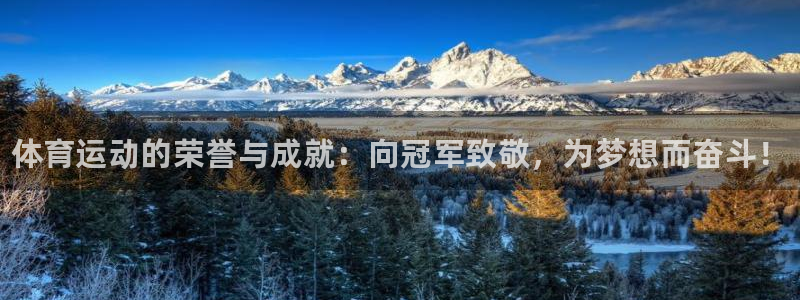 JJB竞技宝官方正版app官方：体育运动的荣誉与成就