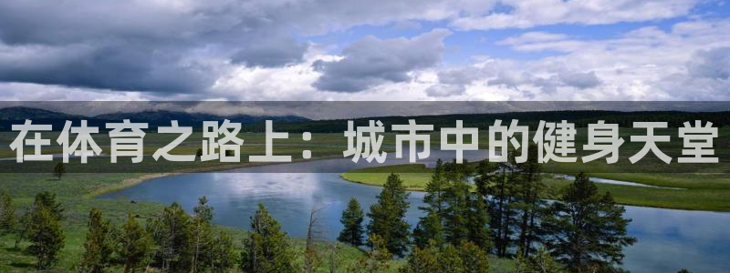 JJB竞技宝官方正版app集团E.ON：在体育之路上：城市中