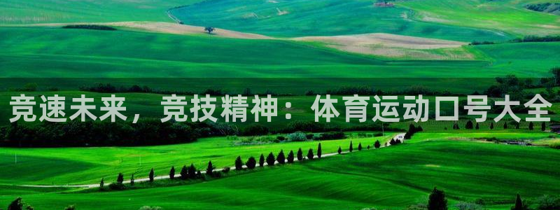 JJB竞技宝官方正版app五金厂：竞速未来，竞技精神：体育运