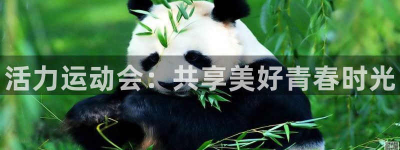JJB竞技宝官网下载招商电话号码查询：活力运动会：共享美好青