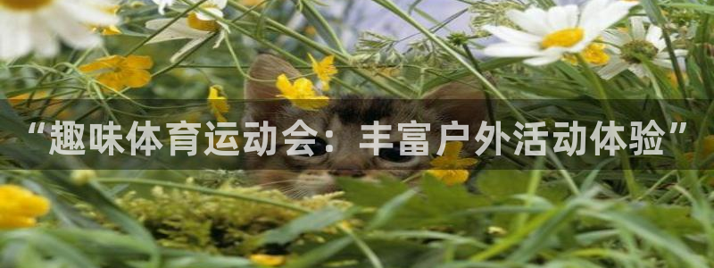 JJB竞技宝官方正版app娱乐40996：“趣味体育运动会：