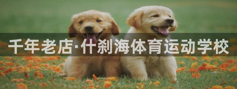 海南JJB竞技宝官网下载发展怎么样：千年老店·什刹海体育运动