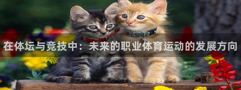 JJB竞技宝官方正版app娱乐首页网站大全：在体坛与竞技中：