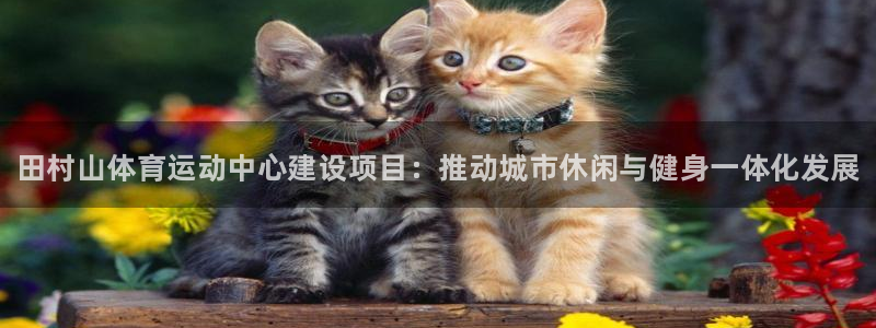 JJB竞技宝官网下载开户：田村山体育运动中心建设项目