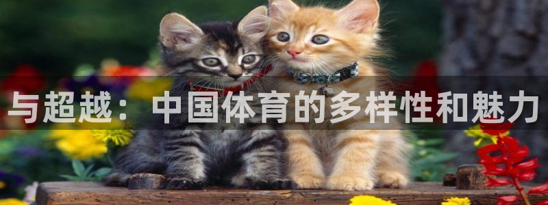 JJB竞技宝官方正版app娱乐代理怎么样