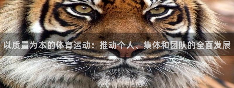 JJB竞技宝官方正版app集团logo：以质量为本的体育运动