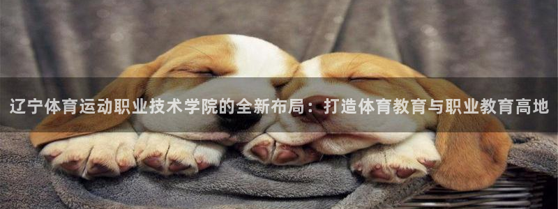 JJB竞技宝官网下载平台假的吗是真的吗吗