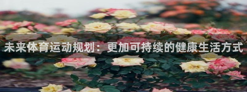 JJB竞技宝官网下载开户：未来体育运动规划：更加可持续的健康