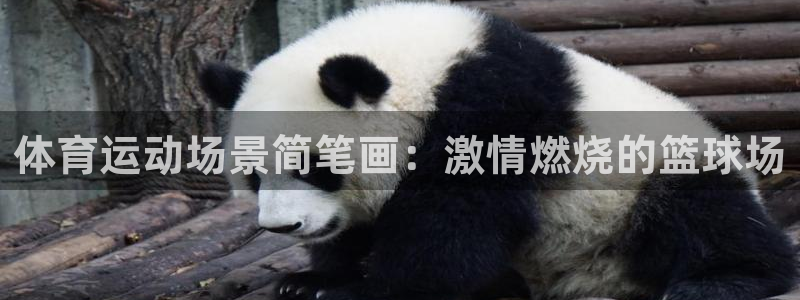 JJB竞技宝官网下载招商电话地址：体育运动场景简笔画