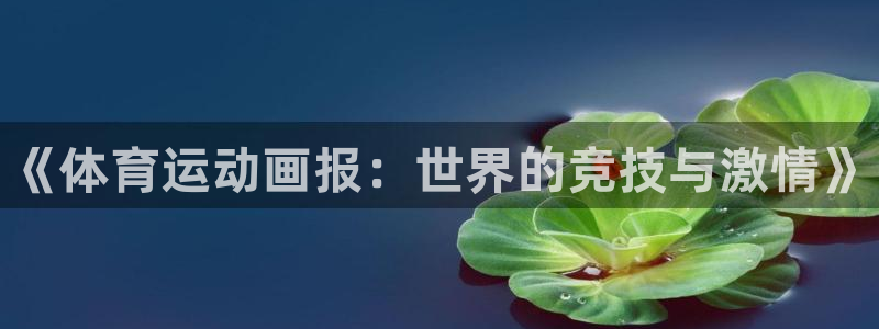 JJB竞技宝官网下载是干嘛的公司：《体育运动画报：世界的竞技