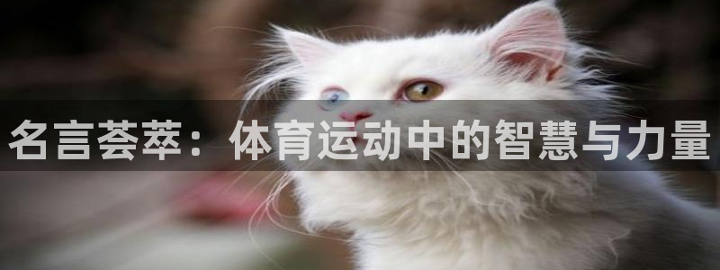 JJB竞技宝官网下载联系电话：名言荟萃：体育运动中的智慧与力