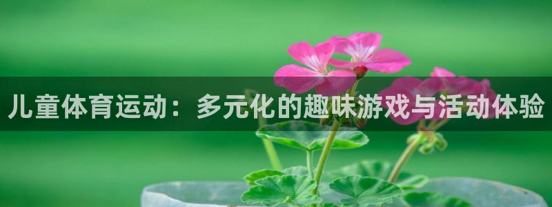 JJB竞技宝官网下载招商电话号码是多少号：儿童体育运动：多元