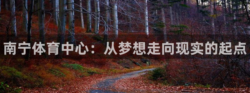 JJB竞技宝官网下载招商电话：南宁体育中心：从梦想走