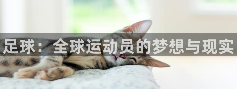 JJB竞技宝官方正版app集团：足球：全球运动员的梦想与现实